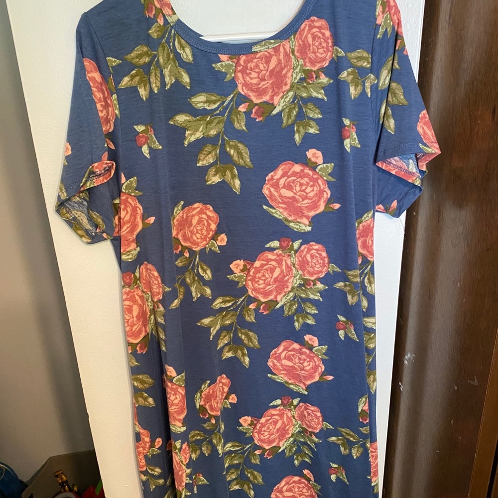 LuLaRoe Carly dress